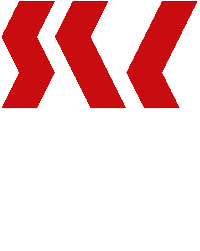  Stemma Servizi Città Metropolitana di Catania